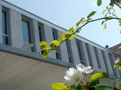 Photo d'une fleur d'un cerisier dans la cour et du bâtiment Supméca