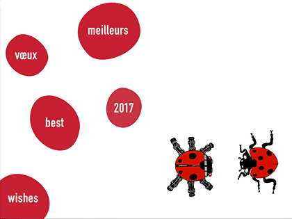 Supméca vous souhaite une très belle année 2017