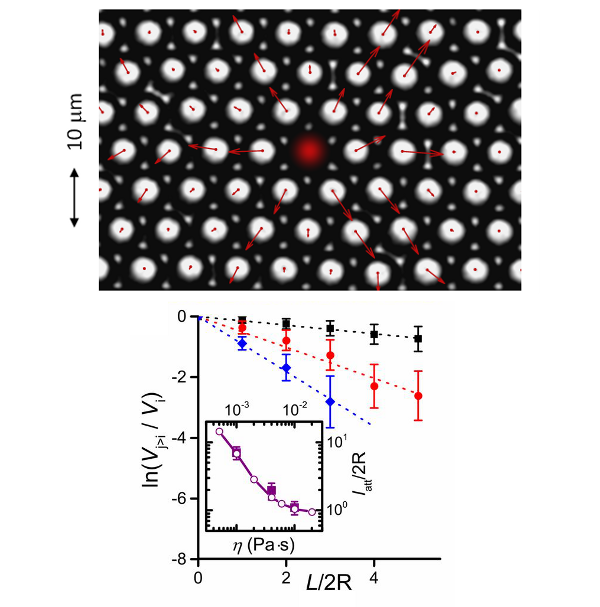 Observation directe de la propagation d’une impulsion dans une suspension colloïdale