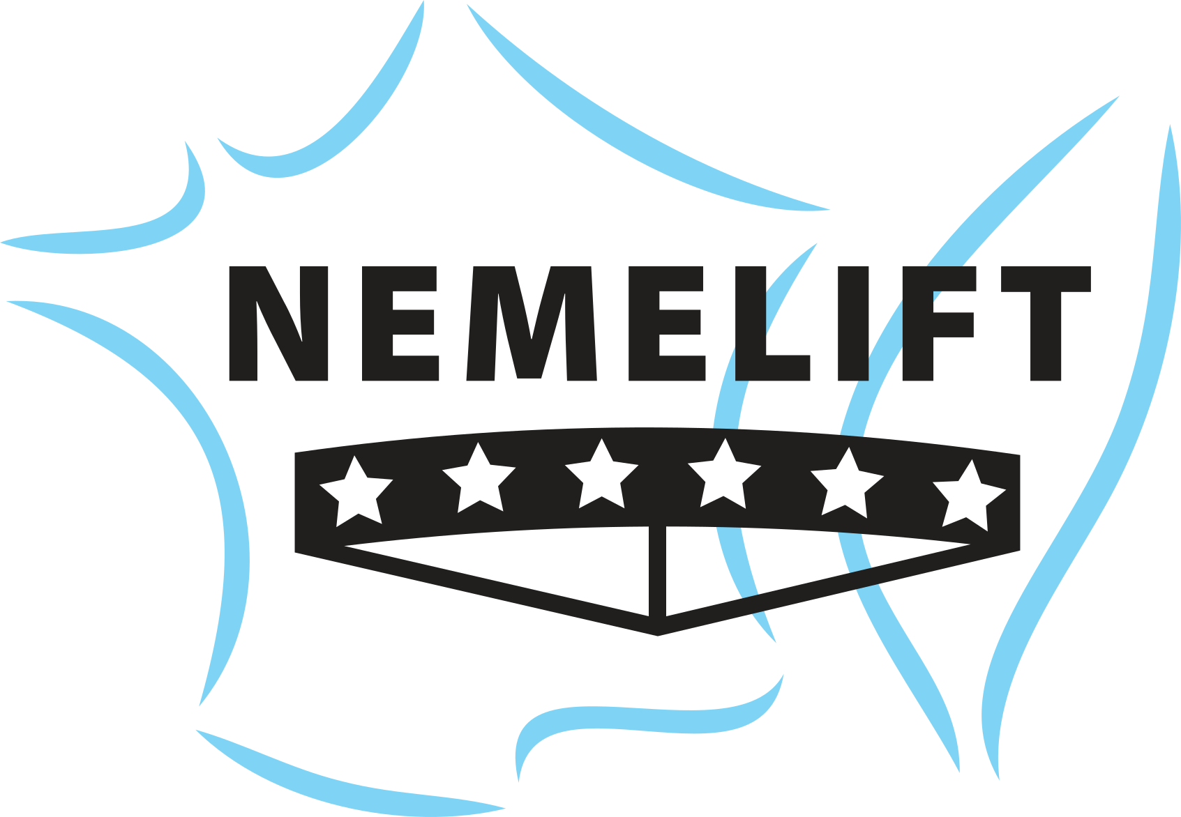 Logo Nemelift